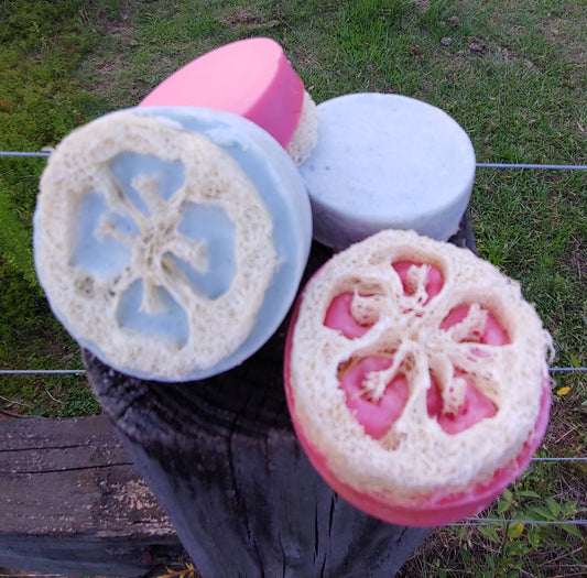 Aloe Vera Loofah Soap
